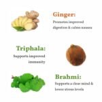 Sancha Tea Boutique, Ayurvedic Ginseng Tea, Indian Ginseng, Pure Ashwagandha Blend, 25 Pyramid Bags, Caffeine Free Herbal Tisane - Image 5