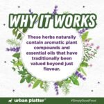 Urban Platter Herbs de Provence Seasoning, 40g (French-inspired | Jain-Friendly | Mesmerising blend of signature herbs) - Image 7