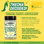 Urban Platter Thecha Seasoning, 70g (Authentic Maharashtrian Condiment | Bold Chilli, Garlic & Peanut Blend | Perfect for Fries, Pasta & Rice) - Image 6