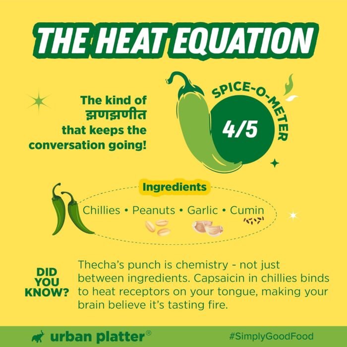 Urban Platter Thecha Seasoning, 70g (Authentic Maharashtrian Condiment | Bold Chilli, Garlic & Peanut Blend | Perfect for Fries, Pasta & Rice) - Image 7