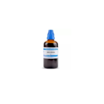 SBL Homeopathic Ammi Visnaga Mother Tincture Q (100ml)