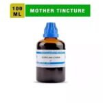 SBL Homeopathic Curcuma Longa Mother Tincture Q (100ml)