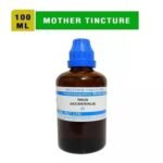 SBL Homeopathic Thuja Occidentalis Mother Tincture Q (100ml)