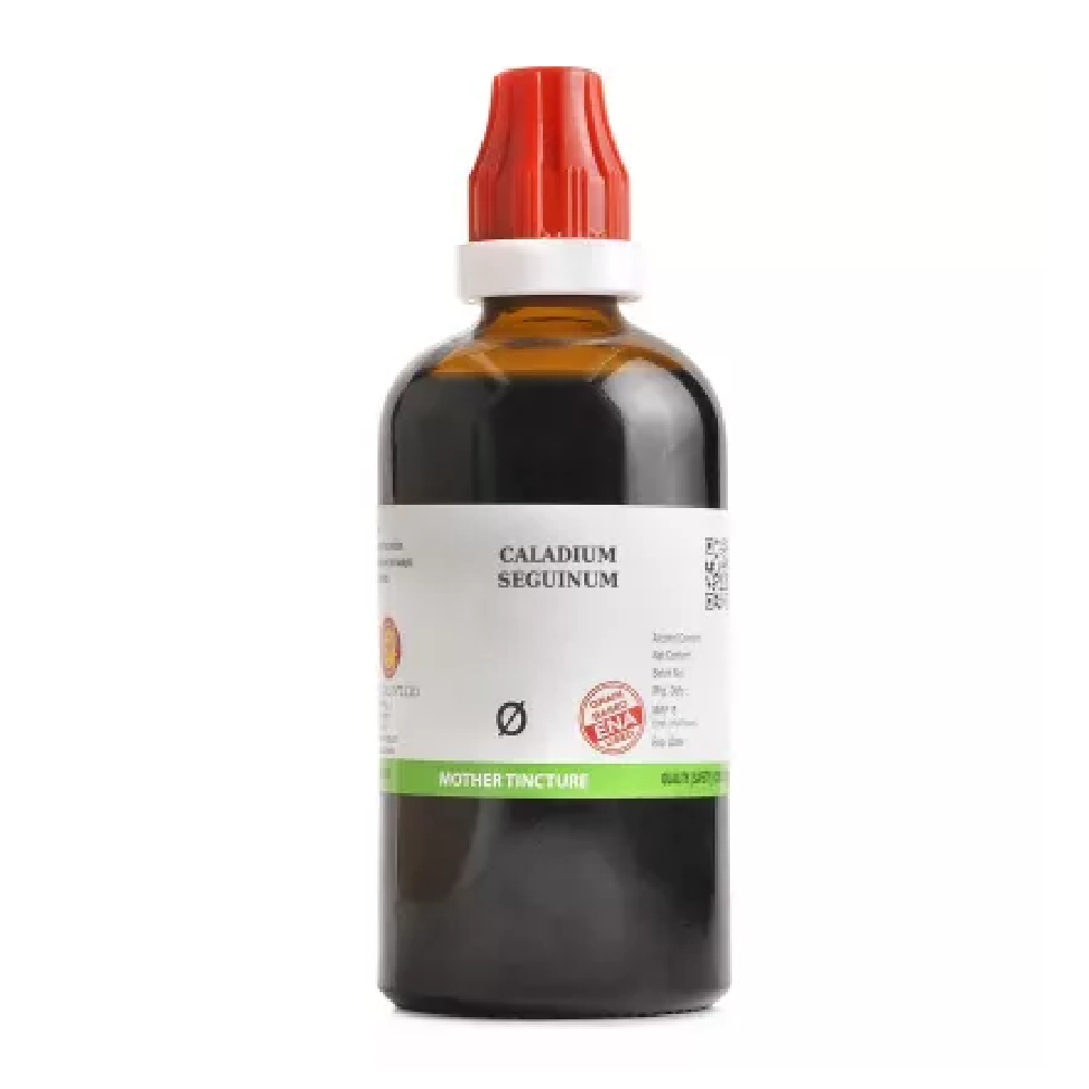 BJain-Caladium-Seguinum-1X-Q-100ml.png BJain Caladium Seguinum 1X (Q) Mother Tincture (100ml) For Itching, Depression - Image 1