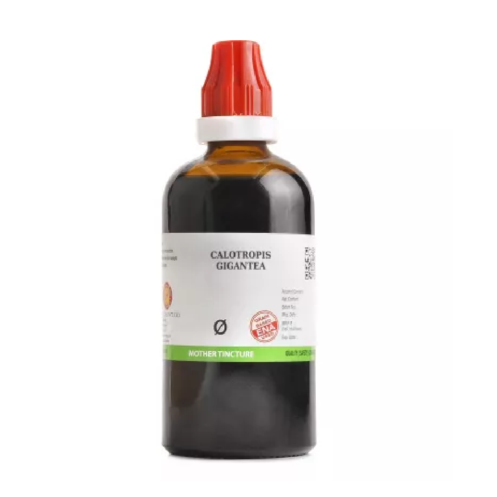 BJain-Calotropis-Gigantea-1X-Q-100ml.png BJain Calotropis Gigantea 1X (Q) Mother Tincture (100ml) For Joint Pain, swellings - Image 1