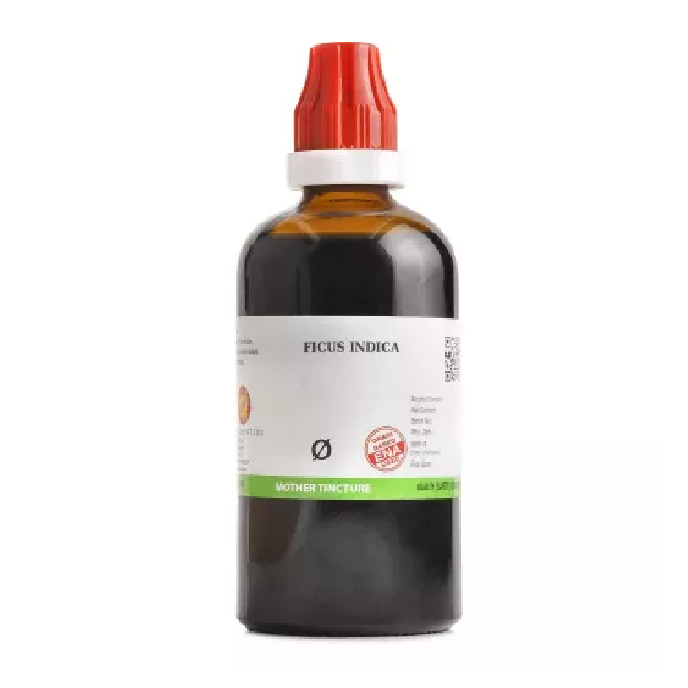BJain-Ficus-Indica-1X-Q-100ml.png BJain Ficus Indica 1X (Q) Mother Tincture (100ml) For Piles, Bleeding Gums - Image 1