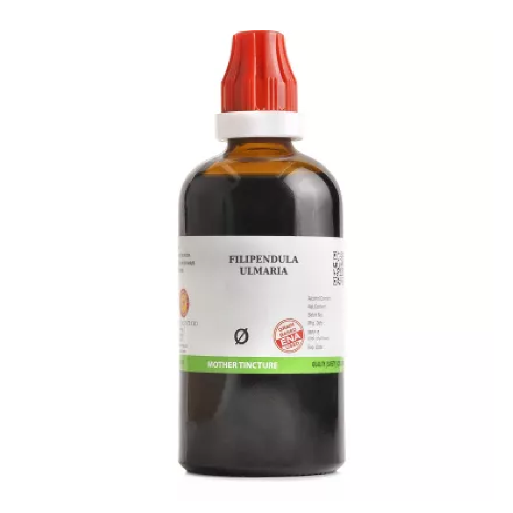 BJain-Filipendula-Ulmaria-1X-Q-100ml.png BJain Filipendula Ulmaria 1X (Q) Mother Tincture (100ml) For Diarrhea, Swelling, Cough - Image 1