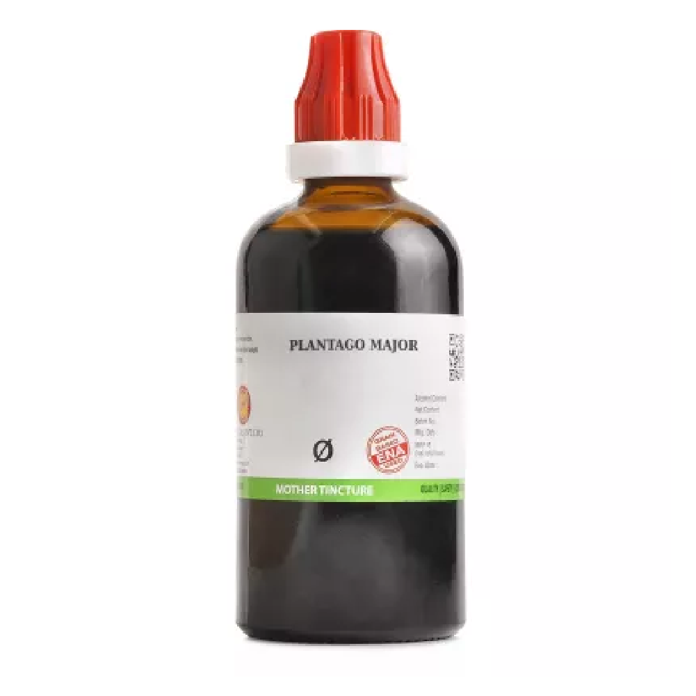 BJain-Plantago-Major-1X-Q-100ml.png BJain Plantago Major 1X (Q) Mother Tincture (100ml) For Bleeding Gum, Infection - Image 1