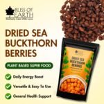 Bliss of Earth Himalayan Sea Buckthorn Berries (100g) | Naturally Sun-Dried Wild Berries | Packed with Omega 3, 6, 7 & 9 + Vitamins C & E | Supports Immunity, Digestion & Metabolism | Enhances Skin Glow & Hair Health | Zero Added Sugar - Image 2