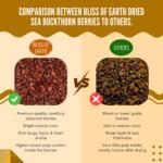 Bliss of Earth Himalayan Sea Buckthorn Berries (100g) | Naturally Sun-Dried Wild Berries | Packed with Omega 3, 6, 7 & 9 + Vitamins C & E | Supports Immunity, Digestion & Metabolism | Enhances Skin Glow & Hair Health | Zero Added Sugar - Image 8