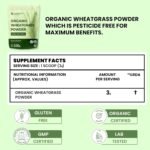 Carbamide Forte 100% Natural Organic Wheatgrass Powder | Wheat Grass Powder | Organic Wheatgrass Juice | Wheat Grass Juice - 100g - Image 2