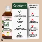 Carbamide Forte Ayurvedic Liver Care Juice - 1L | Herbal Liver Detox Supplement | Antioxidant-Rich Formula with 15 Ayurvedic Herbs | No Added Sugar & Artificial Colour - Image 9