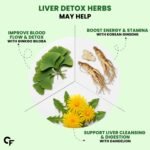 Carbamide Forte Liver Detox Supplement | Fatty Liver Detox Tablets with Clinically Researched Ingredients | Just Drop, Dissolve, Fizz & Drink | Green Apple Flavour - 20 Effervescent Tablets - Image 7