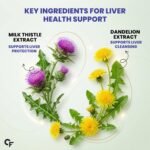 Carbamide Forte Milk Thistle Tablets | Liver Detox Supplement with NAC, Dandelion & Vitamin C | NAC Supplement to support Liver Health & Digestion - 60 tablets - Image 5