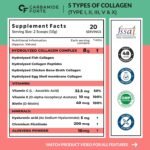 Carbamide Forte Multi Collagen Supplements | 5 Types of Marine Collagen Powder For Skin | Skin Supplements For Glowing Skin For Women - Watermelon Flavour - 200g. - Image 2