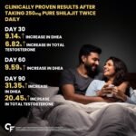 Carbamide Forte Shilajit Gold Capsules For Men With Pure Shilajit Swarna Bhasma,Gokshura,Ashwagandha | Himalayan Shilajiit For Men | Shilajeet Gold Original | Shilajeet Capsule | 60 Veg Capsules - Image 5