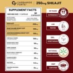 Carbamide Forte Shilajit Gold Capsules For Women With Pure Shilajeet Swarna Bhasma, Saffron & Ashwagandha | Himalayan Shilajit for Women | Shilajeet Gold Original | 60 Veg Capsules - Image 2