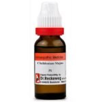 Dr  Reckeweg Schwabe Chelidonium Majus Dilution 11ml for Vomiting Jaundice Anxiety