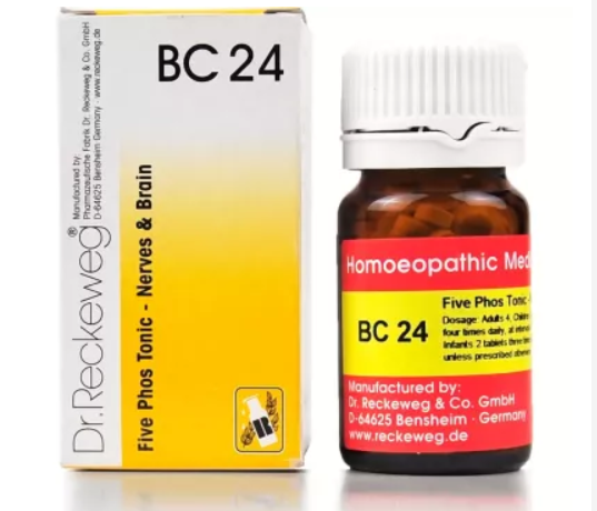 Dr-Reckeweg-Bio-Combination-24-20g.1.png Dr. Reckeweg Bio Combination 24 (20g) for Anaemia improves resistance power - Image 1