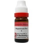 Dr Reckeweg Hypericum Perforatum Dilution 11ml for piles joints pain headache