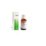Dr Reckeweg R13 Drops Homeopathic Medicine 22 ml for itching eczema Hemorrhoidal