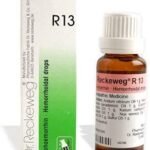 Dr Reckeweg R13 Drops Homeopathic Medicine 22 ml for itching eczema Hemorrhoidal