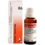 Dr Reckeweg R46 Homeopathic Drops 22 ml for joints pain stiffness