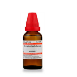 Dr Willmar Schwabe India Syzygium Jambolanum DILUTION (Q) (30ml) for high blood sugar levels indigestion