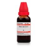 Dr Willmar Schwabe India Blatta Americana Mother Tincture (Q) (30ml) for swelling liver diseases