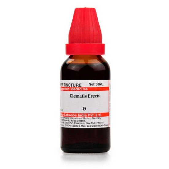 Dr-Willmar-Schwabe-India-Clematis-Erecta-Mother-Tincture-Q-30ml.jpg Dr Willmar Schwabe India Clematis Erecta Mother Tincture (Q) (30ml) for headache eczema swelling - Image 1