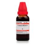 Dr Willmar Schwabe India Fumaria Officinalis Mother Tincture 1X(Q) 30ml for eczema digestion joints pain