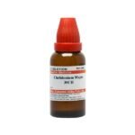 Dr Willmar Schwabe India Homeopathic Chelidonium Majus for eczema nausea vomiting  liver health indigestion
