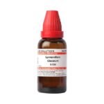 Dr Willmar Schwabe India Homeopathic Lycopodium Clavatum for arthritis anxiety liver and kidneys care relieving pains