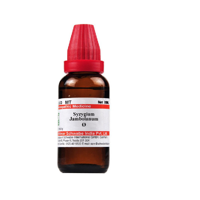Dr-Willmar-Schwabe-India-Homeopathic-Syzygium-Jambolanum-Mother-Tincture-1X-Q-30ml.png Dr Willmar Schwabe India Homeopathic Syzygium Jambolanum Mother Tincture 1X (Q) (30ml) for Diabetes - Image 1