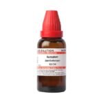 Dr Willmar Schwabe India Homeopathic Syzygium Jambolanum for high blood sugar levels indigestion
