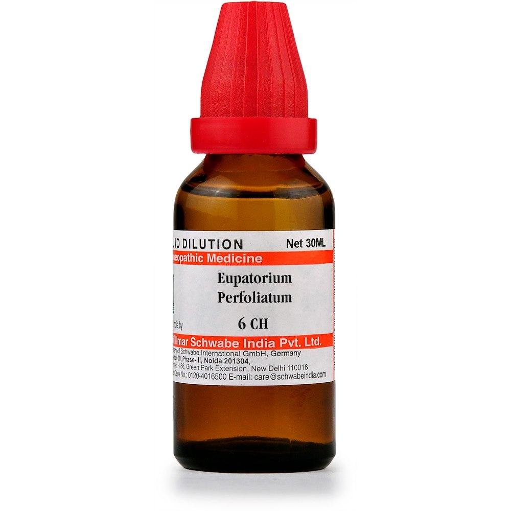 Dr-Willmar-Schwabe-India-Homoeopathic-Eupatorium-Perfoliatum-Dilution-30ml.1.jpeg Dr Willmar Schwabe India Homoeopathic Eupatorium Perfoliatum Dilution 30ml for bone pain Gout - Image 1