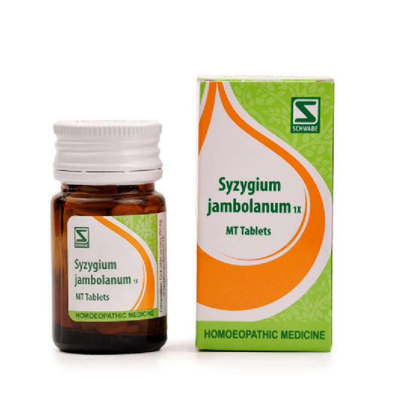 Dr-Willmar-Schwabe-India-Homoeopathic-Syzgium-Jambolanum-1X-MT-Tablets-20gm.png Dr Willmar Schwabe India Homoeopathic Syzgium Jambolanum 1X MT Tablets (20gm) for Diabetes - Image 1