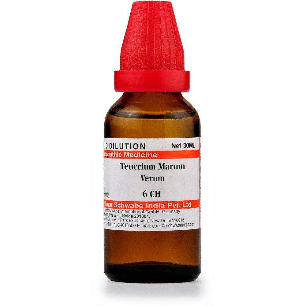 Dr-Willmar-Schwabe-India-Homoeopathic-Teucrium-Marum-Verum-Dilution-30ml.1.jpeg Dr Willmar Schwabe India Homoeopathic Teucrium Marum Verum Dilution 30ml for pain relief - Image 1