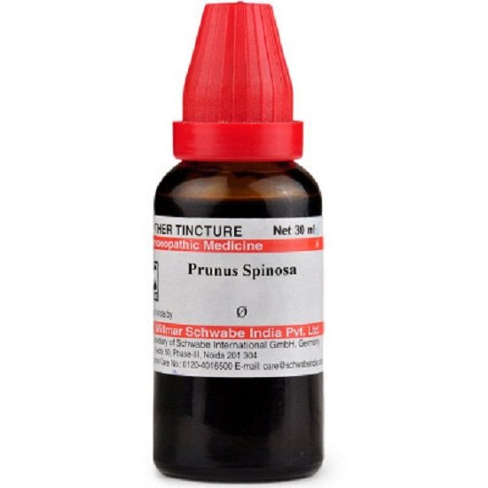 Dr-Willmar-Schwabe-India-Prunus-Spinosa-Mother-Tincture-Q-30ml.jpg Dr Willmar Schwabe India Prunus Spinosa Mother Tincture (Q) (30ml) for digestion kidney problems Headache - Image 1