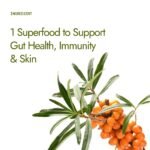 Kapiva Sea Buckthorn Juice – 500ml | Omega 7-Rich Superfruit | Supports Immunity, Glowing Skin & Gut Health | With Omega 3, 6 & 9 - Image 2