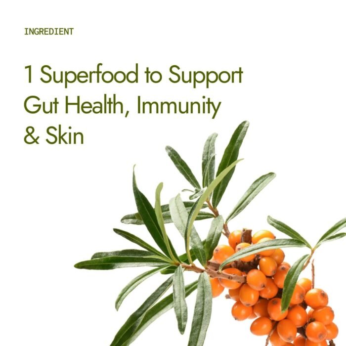 Kapiva Sea Buckthorn Juice – 500ml | Omega 7-Rich Superfruit | Supports Immunity, Glowing Skin & Gut Health | With Omega 3, 6 & 9 - Image 2
