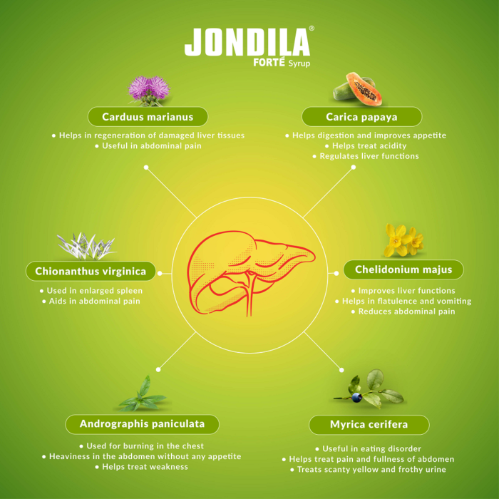 Medisynth Jondila Forte Syrup (200 ML) For Improves Digestion, liver Care - Image 3