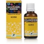 New Life Bach Flower Gorse (30ml) For positive thinking, confidence, hope, panic attacks and mental disorders