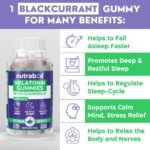 Nutrabud Melatonin Sleep Gummies 3mg For Men, Women | No Added Sugar | Fall Asleep Fast & Restful Deep Sleep | Blackcurrant Flavor Veg Gummy Supplement (60 Count (Pack of 1) - Image 3