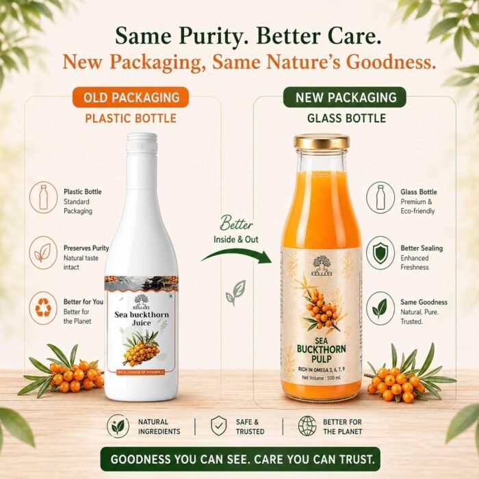 Rogcare Sea Buckthorn Juice 500ml Packed in a Glass Bottle | Cold-Pressed Sea Buckthorn Pulp Concentrate from Ladakh Himalayas (-40°C) Rich in Natural Vitamin C, Omega 3, 6, 7, 9 & Antioxidants | Skin Glow & Gut Health - Image 3