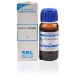 SBL Bacopa Munnieri(Brahmi) Mother Tincture 1X (Q) (30ml) for anxiety joints pain stress