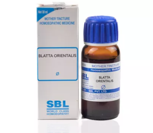 SBL-Blatta-Orientalis-1X-Q-30ml.1.png SBL Blatta Orientalis Mother Tincture Q, for lung infection cough asthma - Image 1