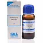 SBL Boerhaavia Diffusa Mother Tincture Q for Arthritis Headache