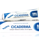 SBL Cicaderma Pomade Minor Burns and Injuries, Antiseptic Agent 25gm for Rash Itch Urticaria Hives