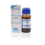 SBL  Cinchona Officinalis (China) Mother Tincture (Q) 30ml for vomiting nausea jaundice diarrhoea  relieve pain